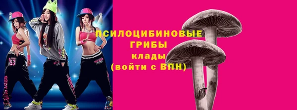 кокс Аркадак